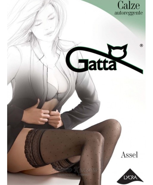 Gatta Assel W.01